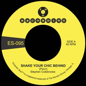 Stephen Colebrooke - Shake Your Chic Behind [Vinyl, 7"]