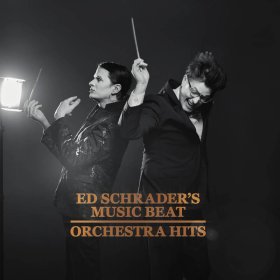 Ed Schrader's Music Beat - Orchestra Hits [Vinyl, LP]