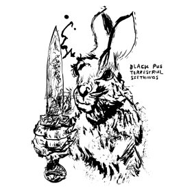 Black Pus - Terrastrial Seethings [CD]