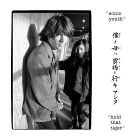 Sonic Youth - Hold That Tiger [CD]