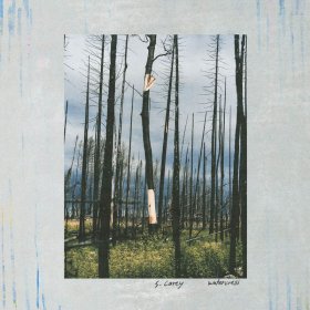 S. Carey - Watercress [Vinyl, LP]