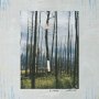 S. Carey - Watercress