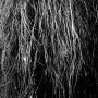 Merzbow & Eraldo Bernocchi & Igor Cavalera - Nocturnal Rainforest