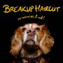Breakup Haircut - No Worries If Not
