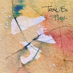 Terrie Ex - Flaps [CD]