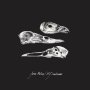 Jason Molina / Mj Lenderman - The Last Three Human Words / Just Be Simple