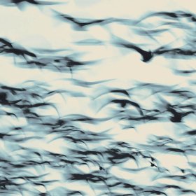 Bellbird - The Call [Vinyl, LP]