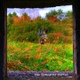 Edward Ka-spel - The Sympathy Portal