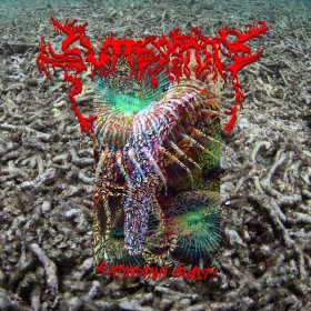 Guttersnipe - Extinction Burst! [Vinyl, LP]