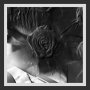 Ital Tek - Mind Abandon