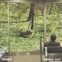 Hurry - Zoned Out (Olive Green)
