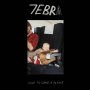 7ebra - How To Land A Plane