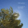 Whiles - Colors Of The Year