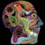 Osees - Cara Maluco