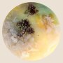 Bilal Nasser - Every Martyr Is A Universe