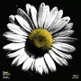 Various - Heart Of Gold: The Songs Of Neil Young Vol.3 Black