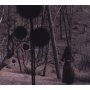 Isis - Not In Rivers, But In Drops
